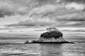 Rat Rock