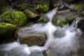 Stream with Mossy Rocks