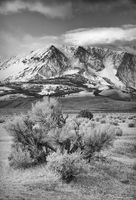 Mt. Gibbs and Sagebrush