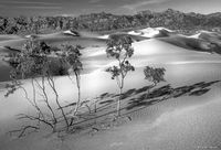 Mesquite Dunes