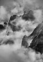 Whispers of the Mist
