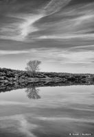 Soda Lake