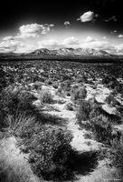 Calico Mountains