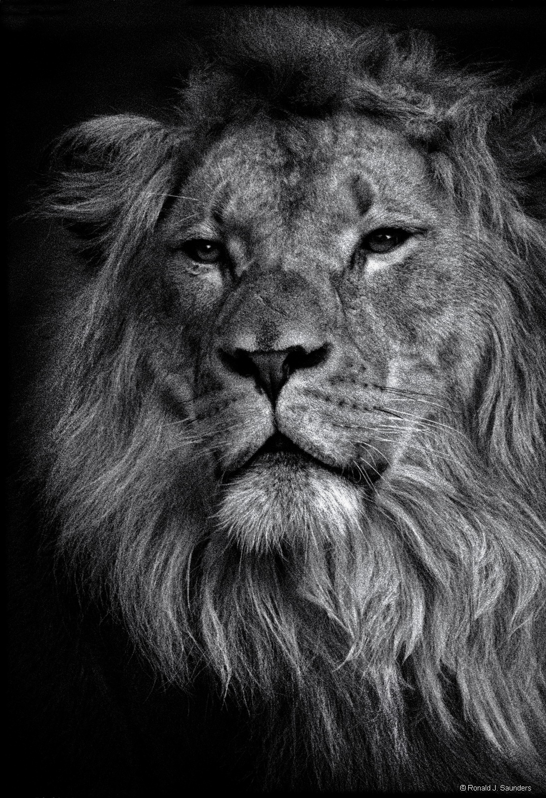 I have this B&amp;W image at my house in an 18x24 frame.&nbsp;&nbsp; I did one for myself after overcoming an immense obstacle...