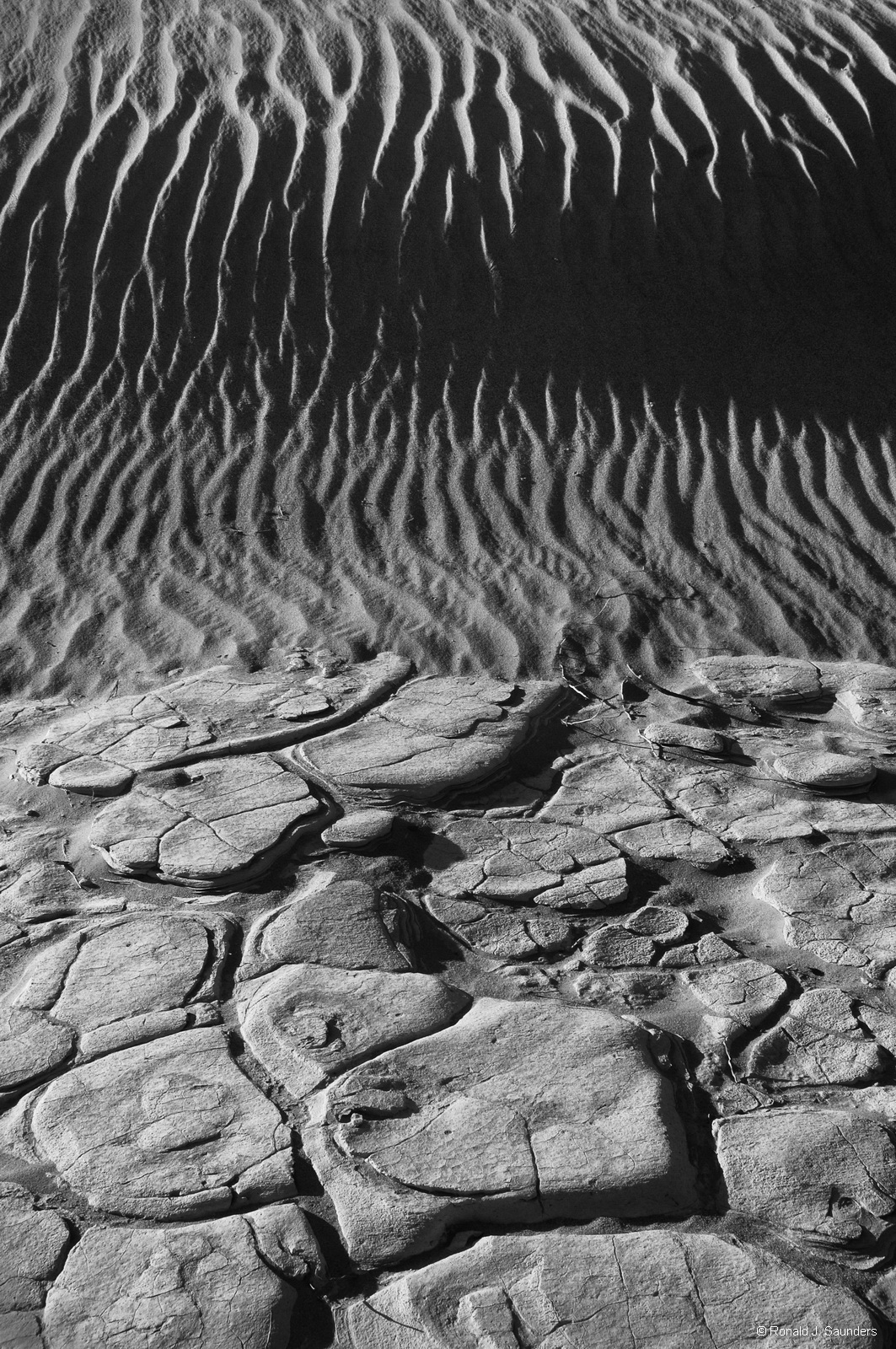 Wind and water continually change the playas at Death Valley. While a good sandstorm will erase tracks in the sand, the baked...