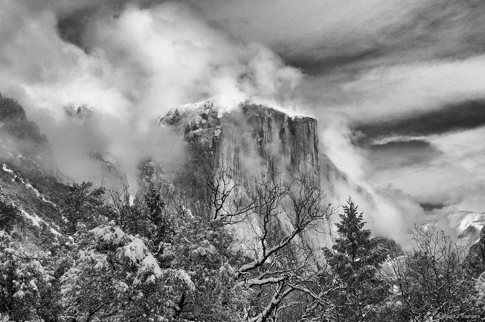 Yet another magnificent view of El Capitan.