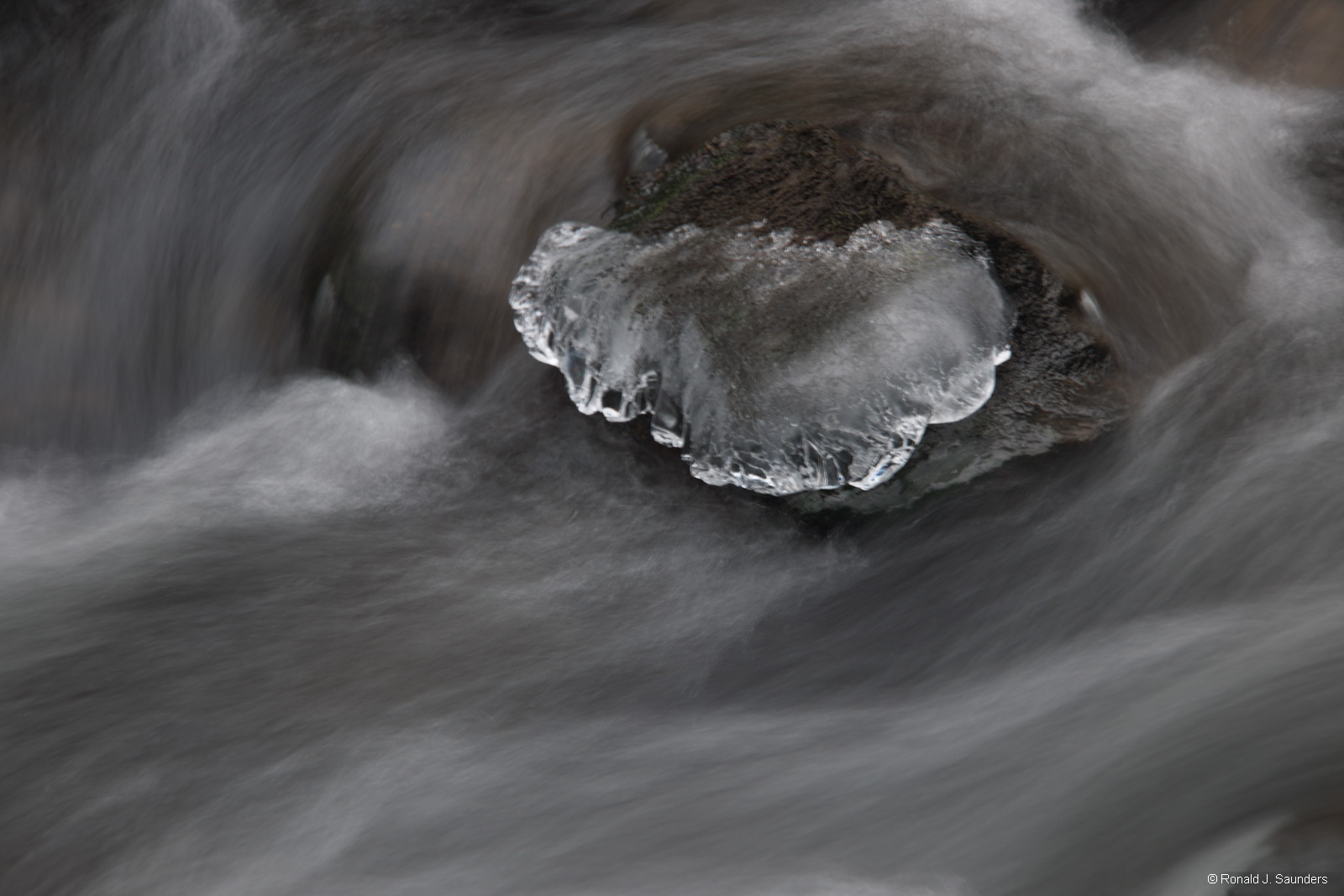 I took this image one rainy day in January. This water sculptured ice had been washed away by high water the next day. The Merced...
