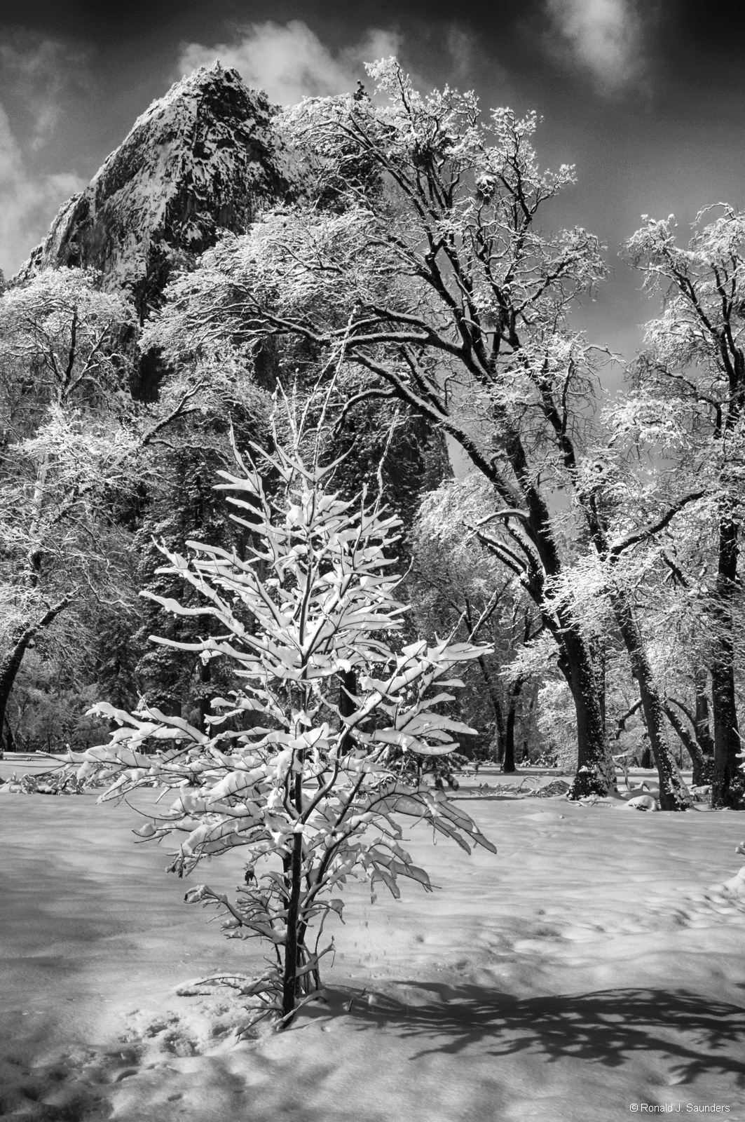 I liked the solitude and stillness of the scene in the image, with the majesty of Cathedral Rocks in the back.  The background...