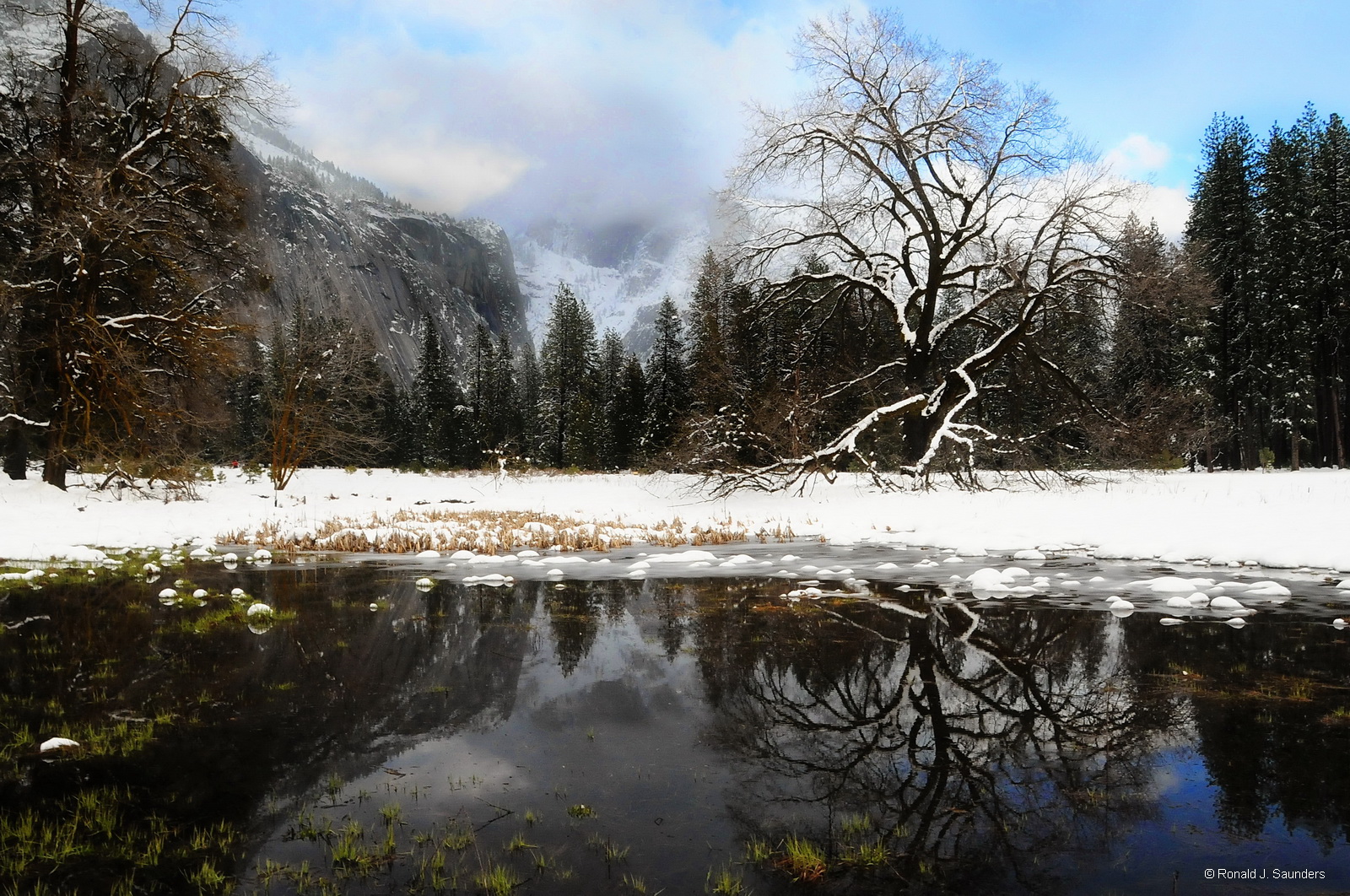 A winter scence reflects in the pond from the meadows below Yosemite Falls.