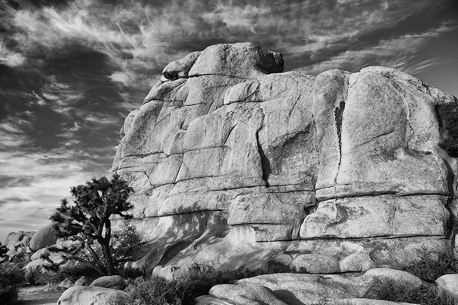 Hidden Valley Joshua Tree National Park, Southern California Ronald
