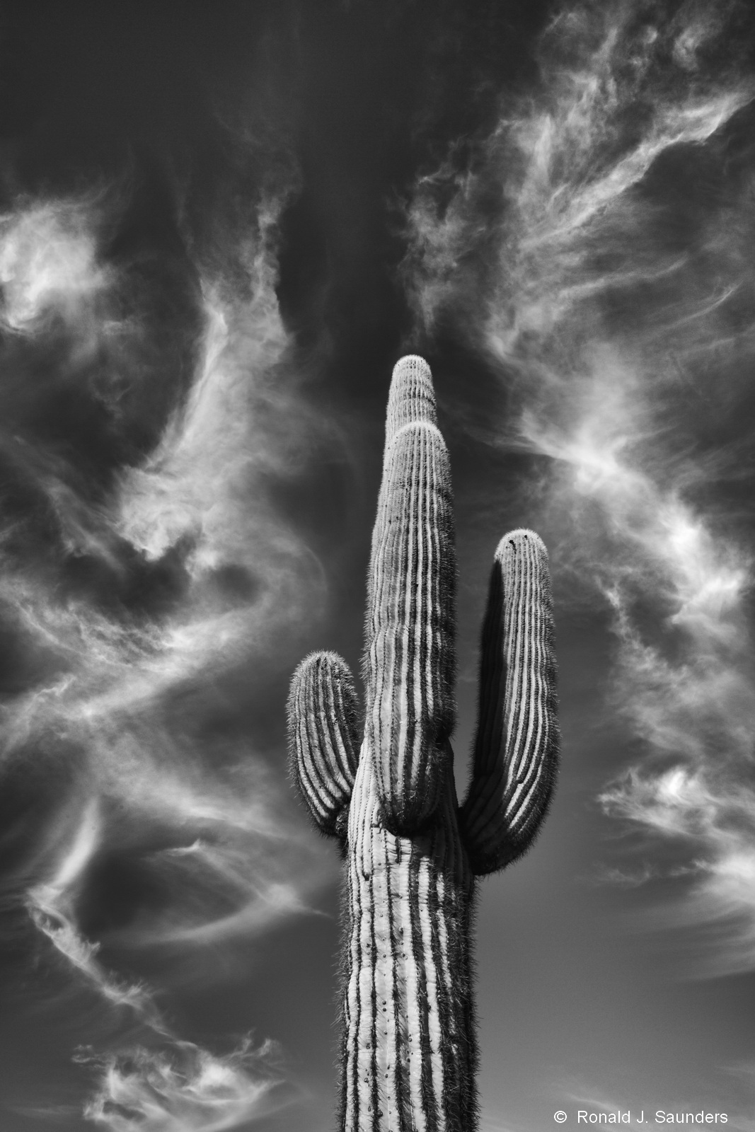 This photograph was taken in a fairly remote section of Arizona not too far from a place called Nothing.&nbsp; My quest in Arizona...
